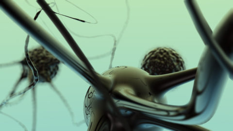 A 3D animation of neurons.